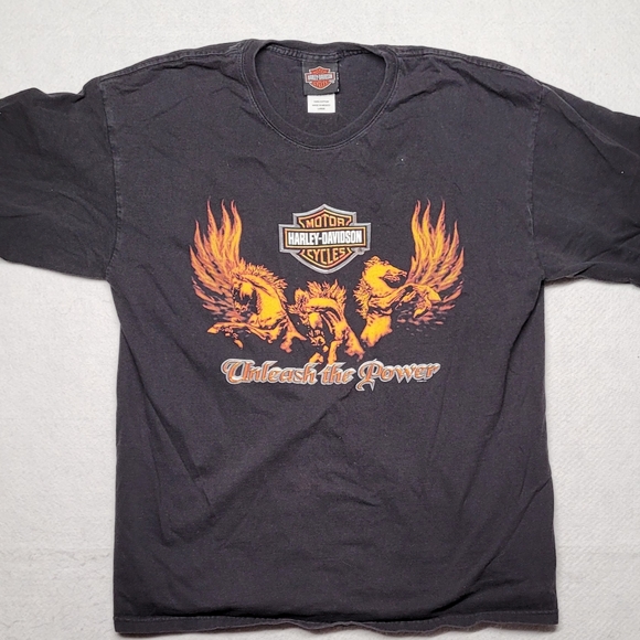 Harley Davidson tshirt "unleashed the power" T-shirt man's large - Picture 1 of 3